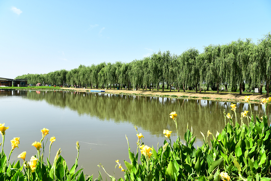 宝应荷园,来这里欣赏颜值在线的景观