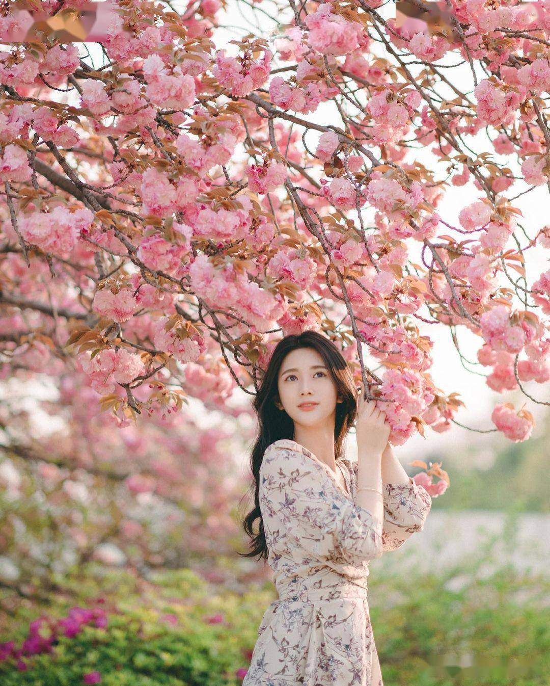 提前预习春天和花的拍照姿势,你喜欢哪种拍照姿势?