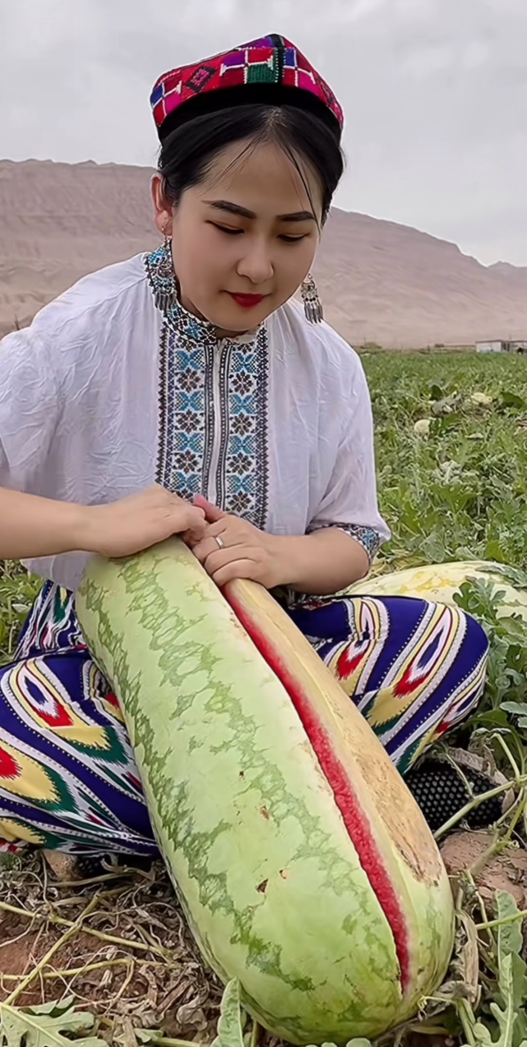 第一次见这样长长的西瓜.难道是冬瓜嫁接的吗?这样的瓜会甜吗?