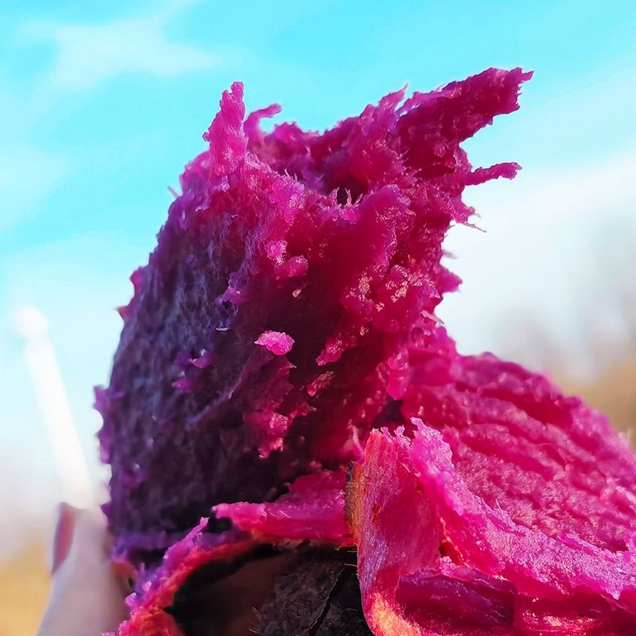 前段时间我发现了我们的宝藏,壹亩地瓜溏心紫芋,简直是好吃到舔手指毫