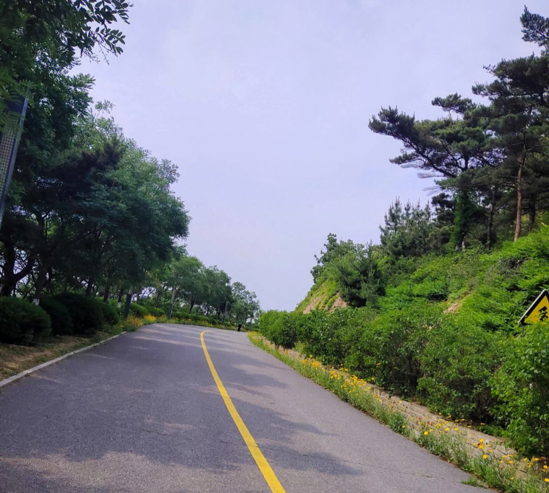 辽宁大连市四大望山,一个小众的冷门景点,非常适合徒步和观光!