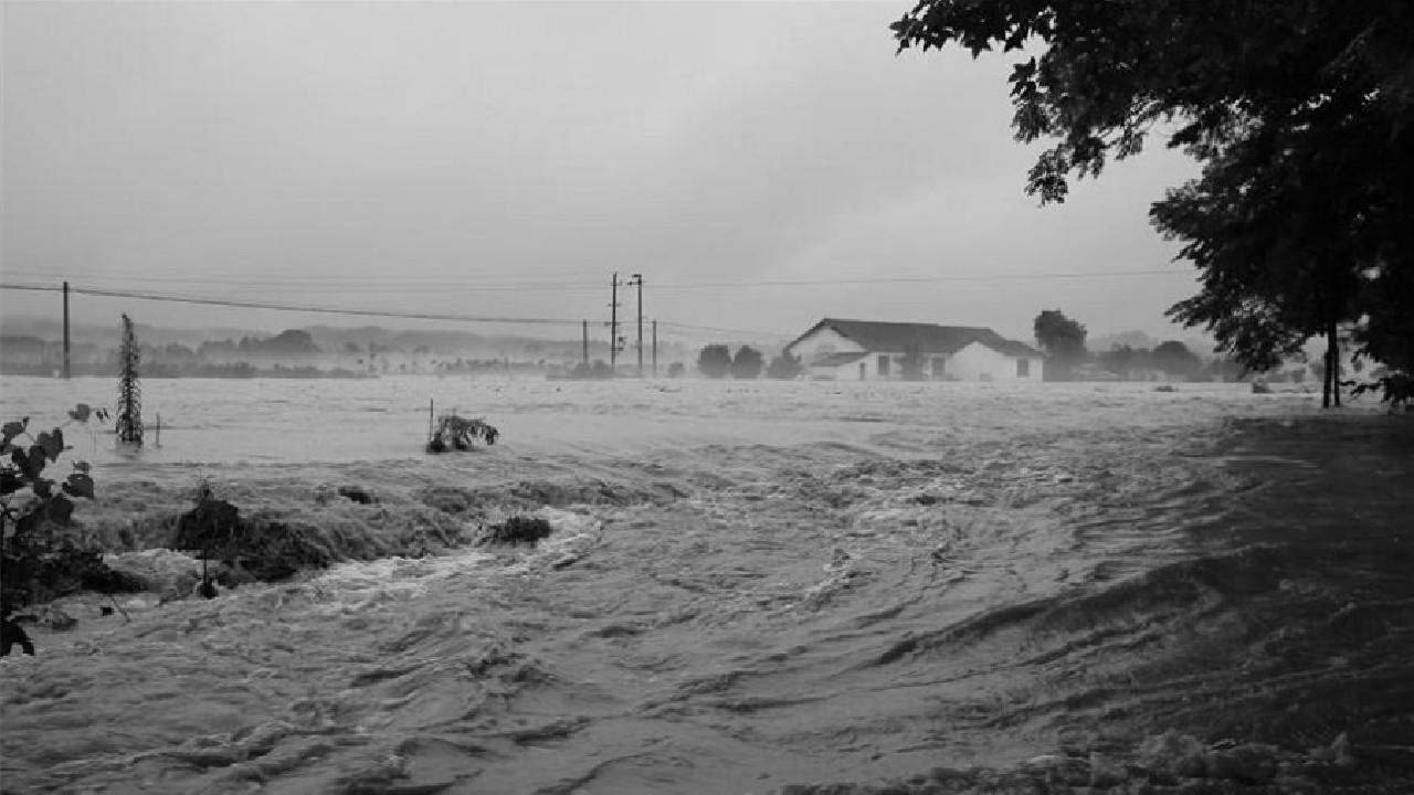 98年大洪水图片