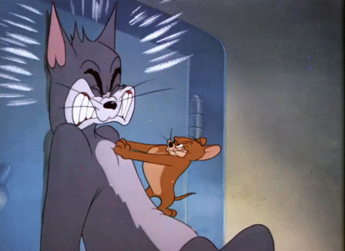 tips:《猫和老鼠》tom and jerry是米高梅电影公司于1939年制作的一部