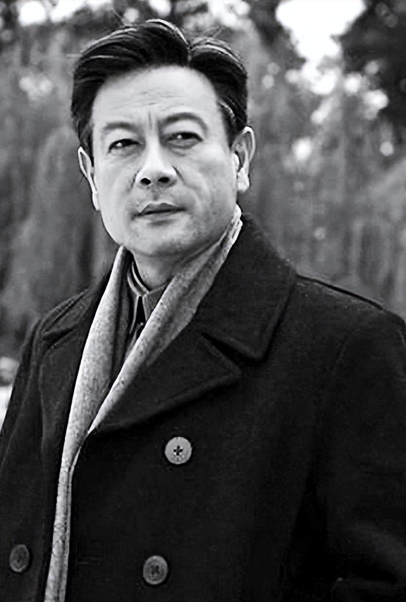 回顾巫刚和前妻结婚15年无儿女离婚后与不婚不育的陈瑾牵扯不清