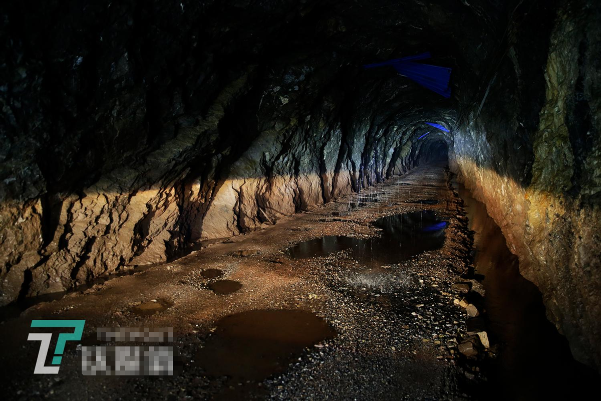 贵州58岁老汉独守深山矿区月薪3000靠喝酒壮胆与大鹅偕老