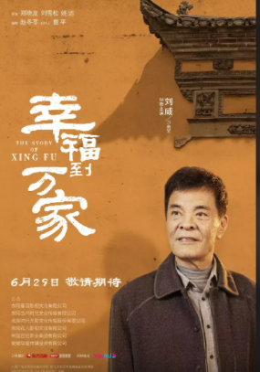 回顾何晴给了刘威青春给了许亚军孩子为何转身嫁给廖京生