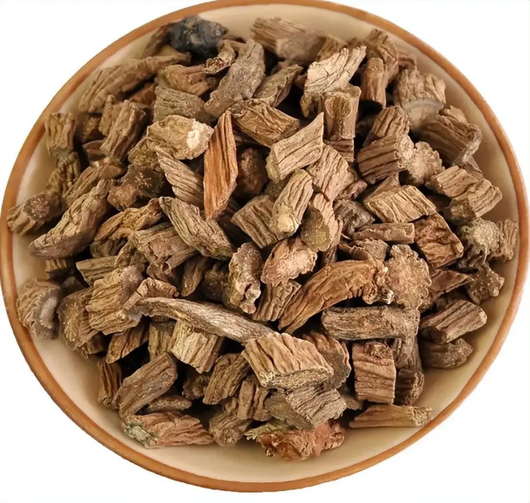 识别中药材川续断