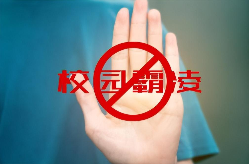 警方对堂哥赵讯和那8个人进行审问,几个十几岁的学生很快便招架不住