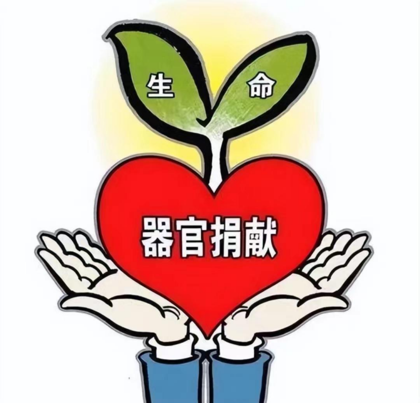 回顾学霸脑溢血离世家属忍痛捐献多器官卡内余额令父落泪