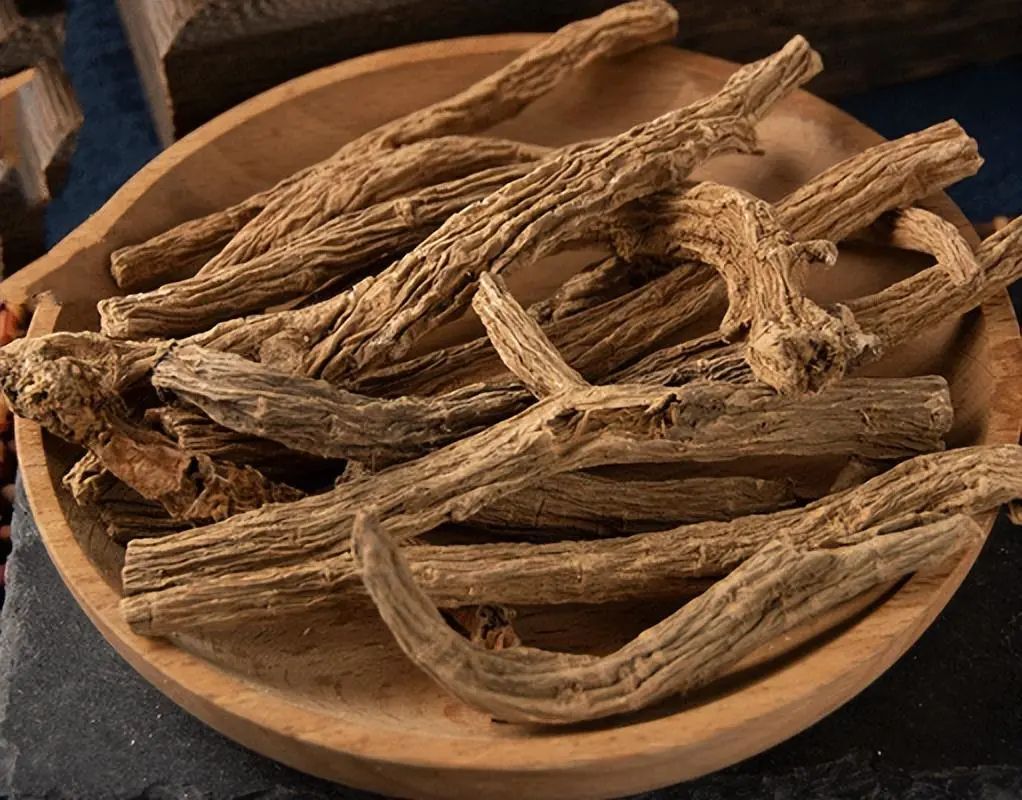 识别中药材川续断