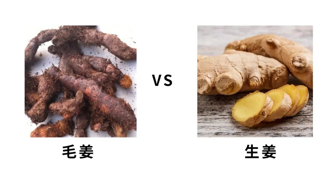 有植介 生姜治脱发?千万别玩脱了