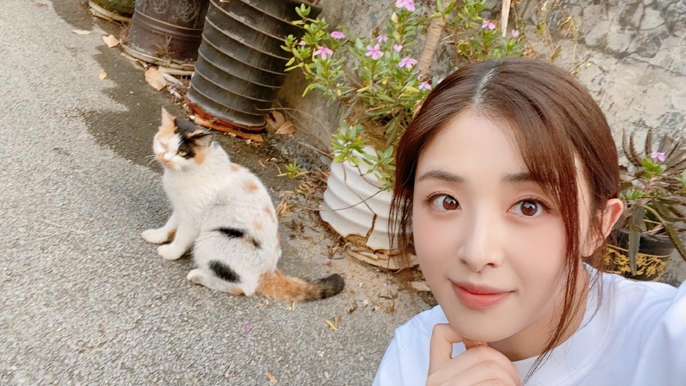 回顾张含韵:15岁出道成名后是非不断,34岁仍未婚,她恨嫁吗?