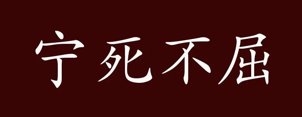 女真人真硬散讲完颜陈和尚之死与金国之亡
