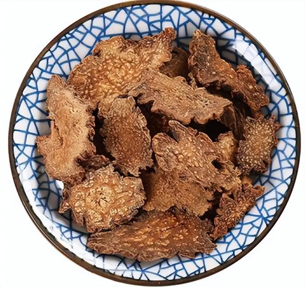 带你识别中药材锁阳