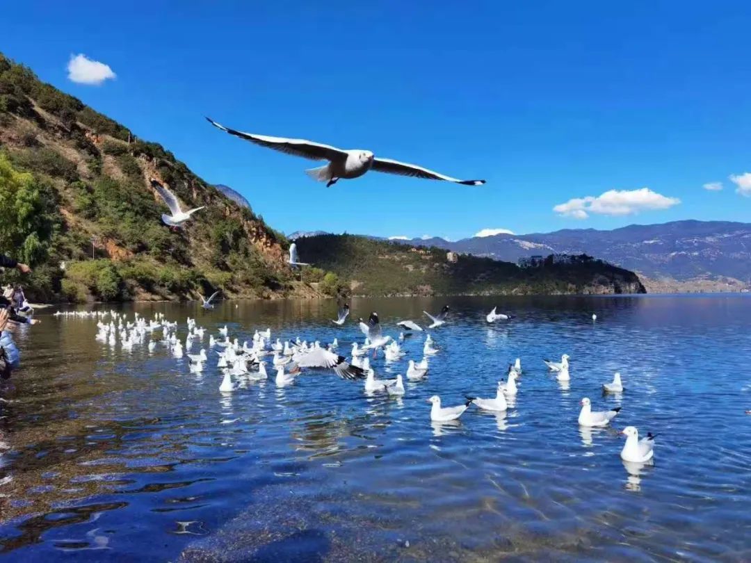 云南5天旅游攻略云南自由行景点线路探秘云南纯玩游