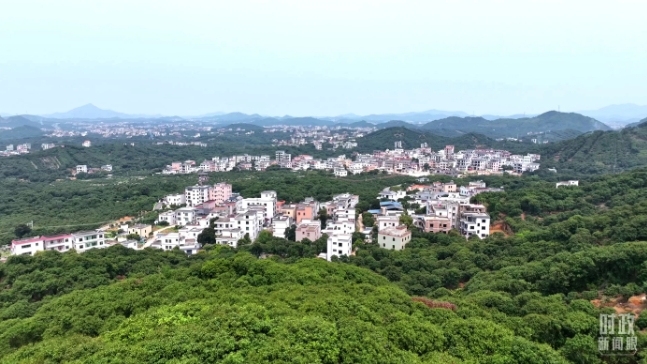 做强荔枝旅游 描绘荔乡画卷——回访广东省茂名市根子镇柏桥村