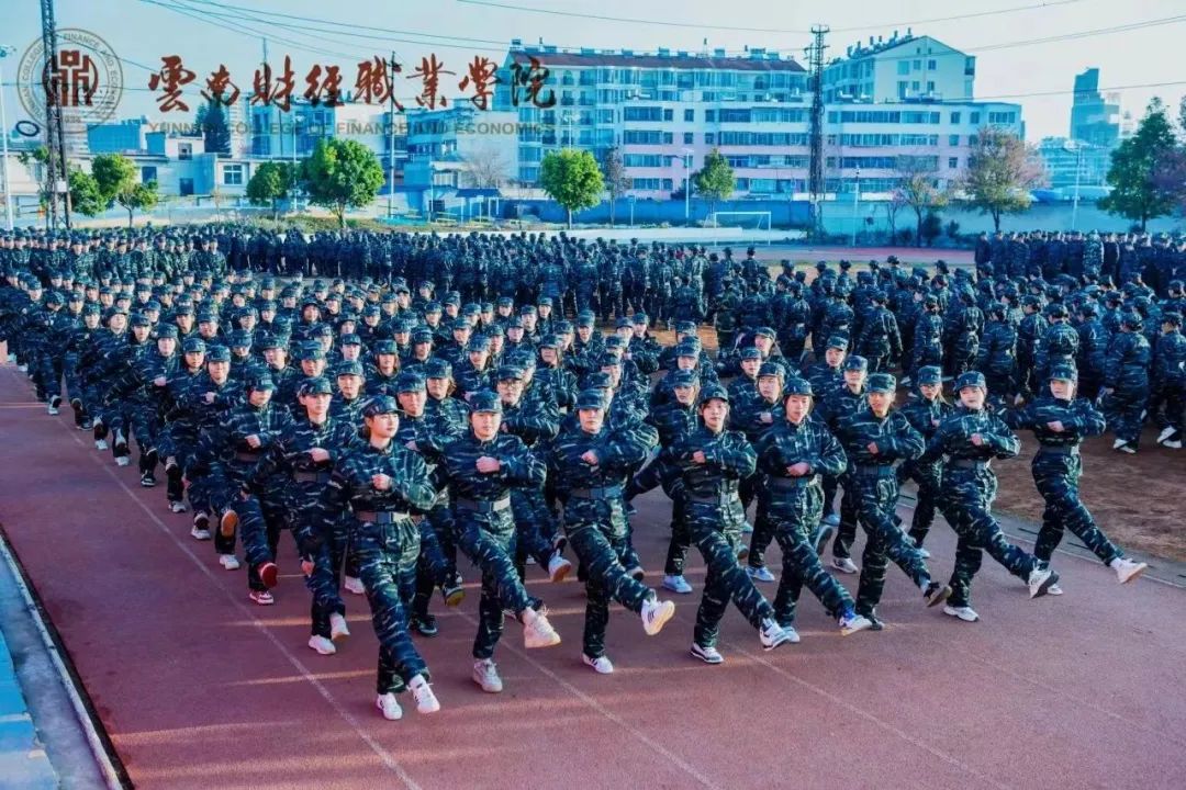 单招云南财经职业学院2024年单独考试招生简章