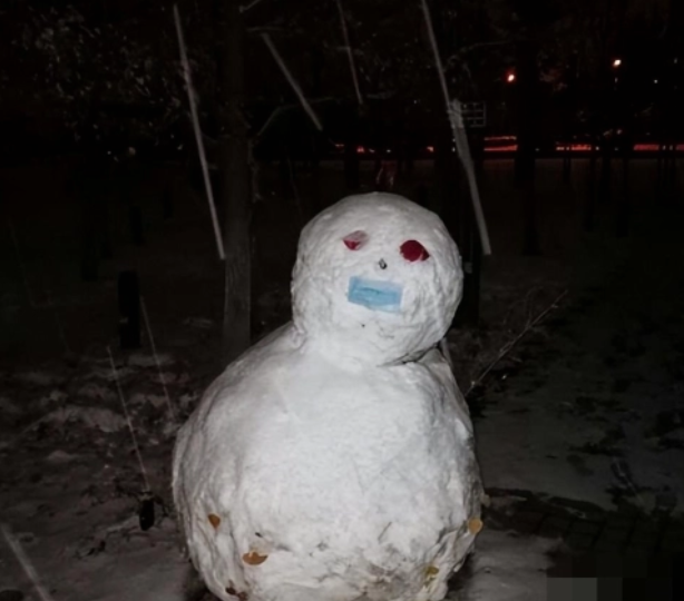 肢体雪人第一案图片