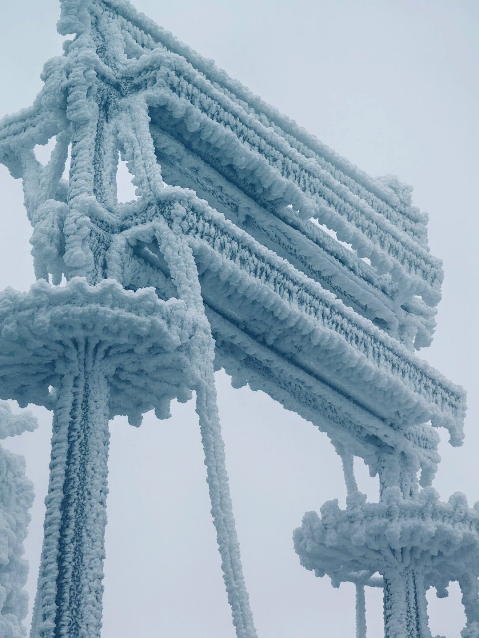 杏梅尖雪景图片