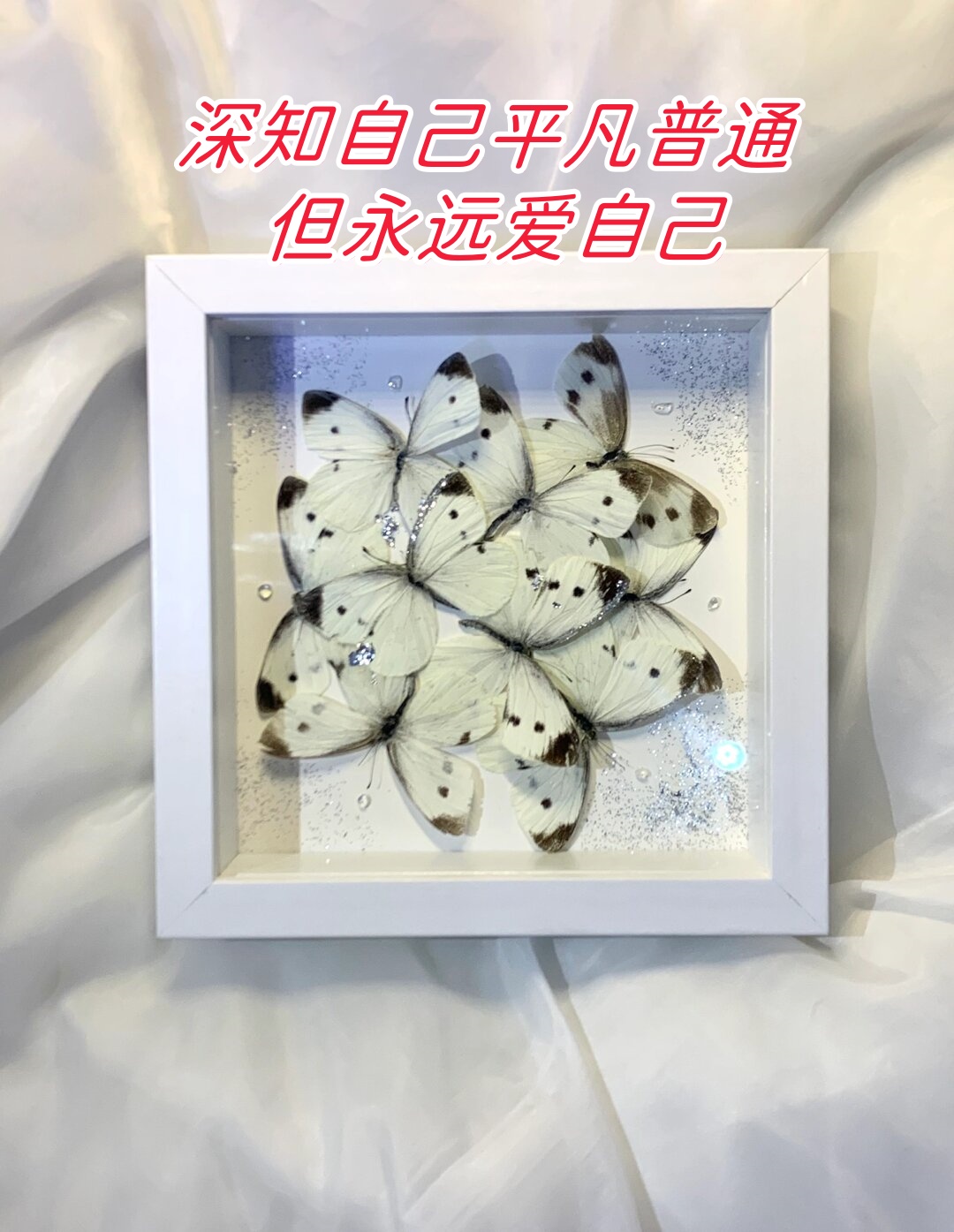 今天的主角是我们日常生活中最常见的菜粉蝶