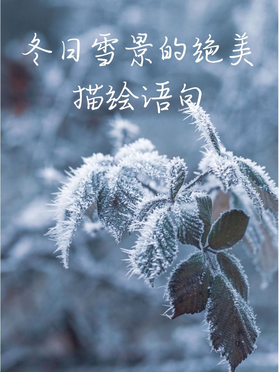 下雪的说说发朋友圈图片