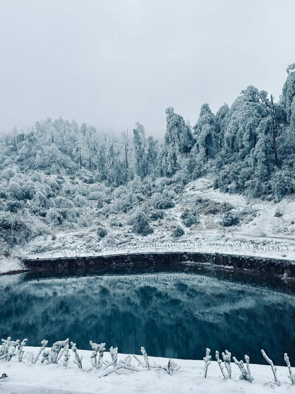 杏梅尖雪景图片