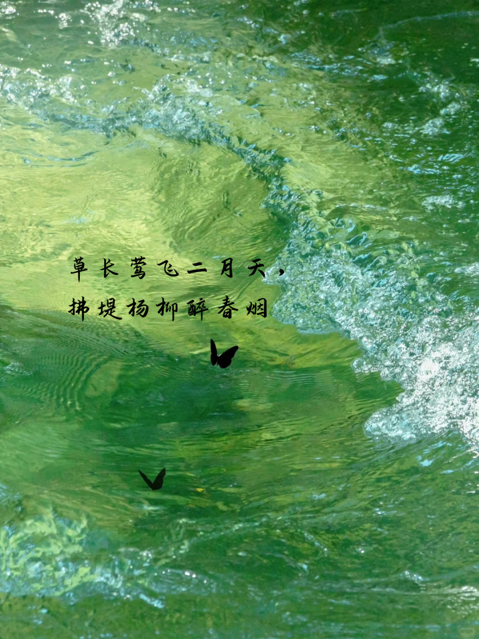 适合二月的温柔句子 🌱 草长莺飞二月天, 拂堤杨柳醉
