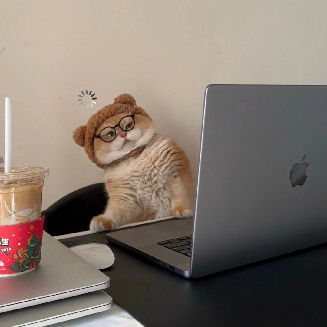 今日份工作表情包  当清晨的第一缕阳光照进办公室,你的脸上是否也挂