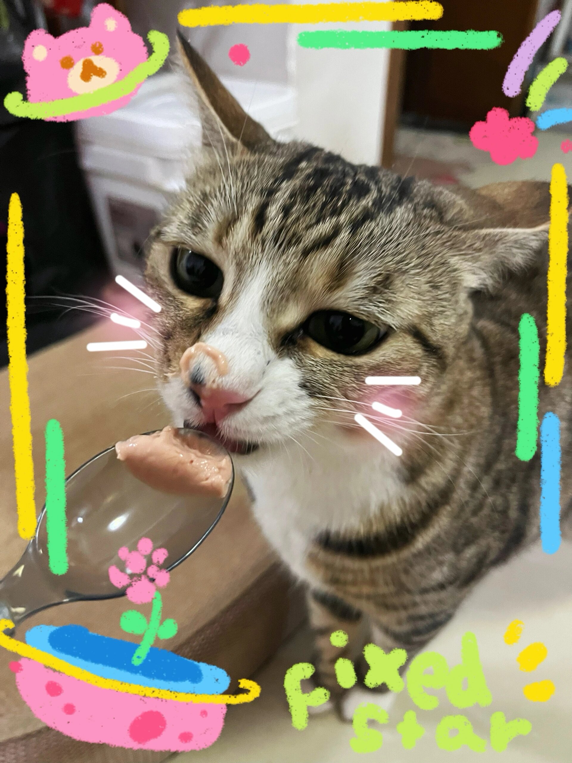 这款罐头简直就是舔舔怪猫咪的福音!