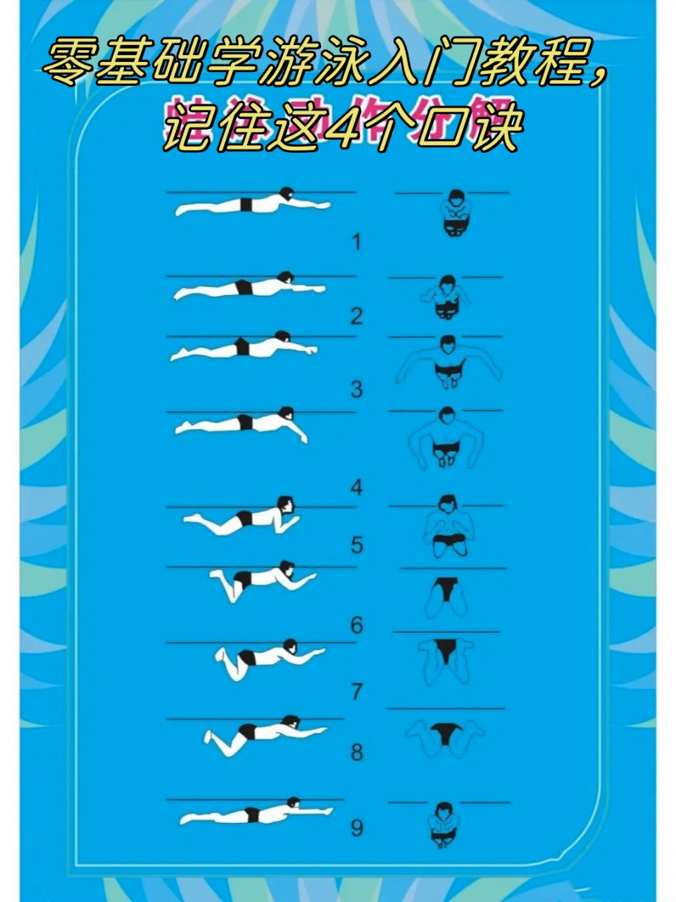 零基础学游泳入门教程,记住这4个口诀  🌟🏊‍♂️ 蛙泳秘诀