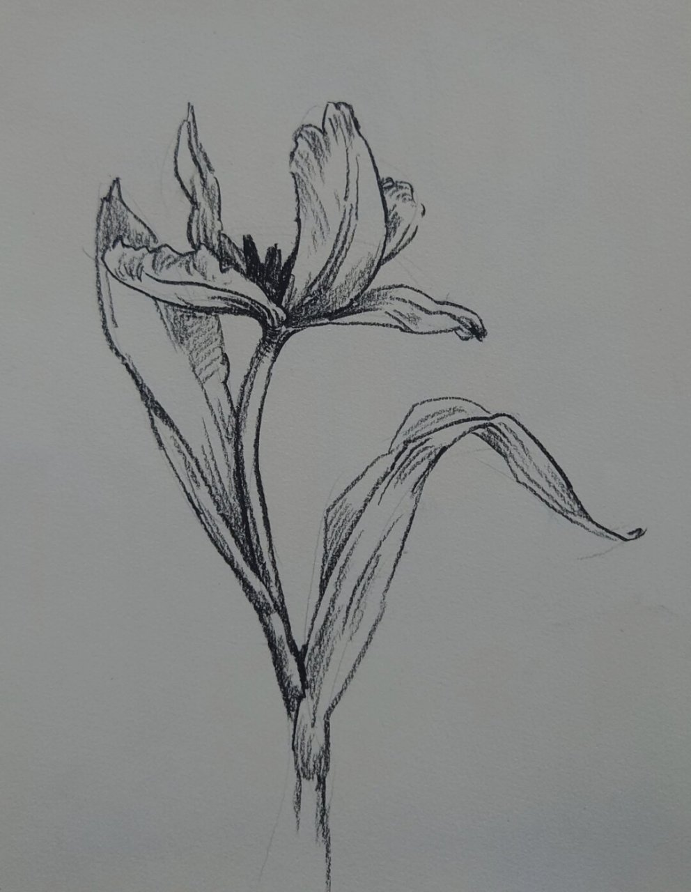 这里有一组特别适合速写零基础入门学习和临摹的范画,简直就像是为