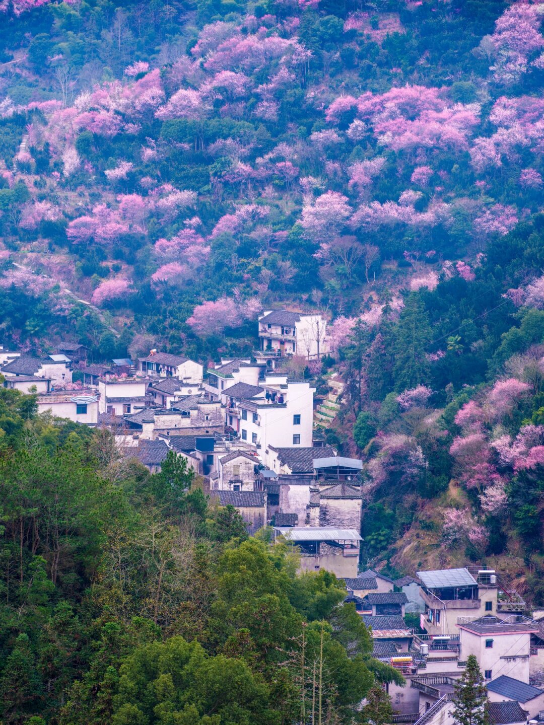 歙县卖花渔村住宿图片