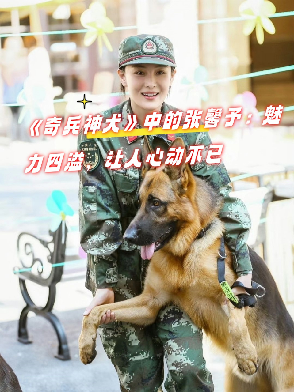 奇兵神犬综艺图片