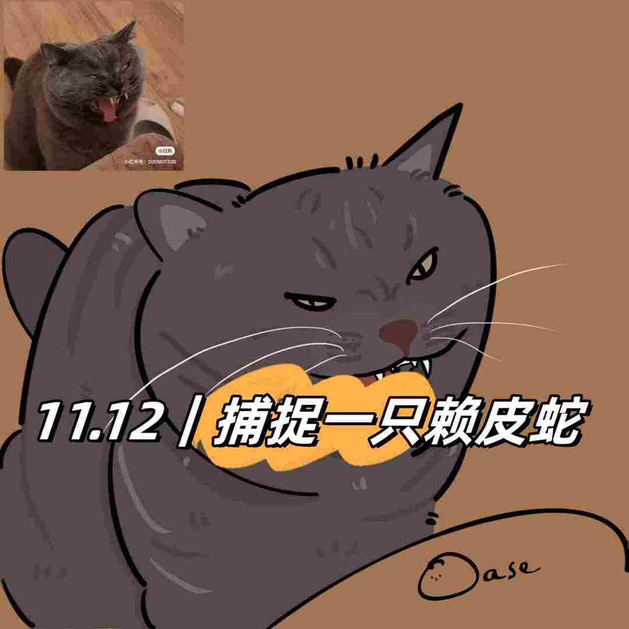 1291|捕捉一只赖皮蛇97  家人们04,今天我在路上偶遇了一只超级