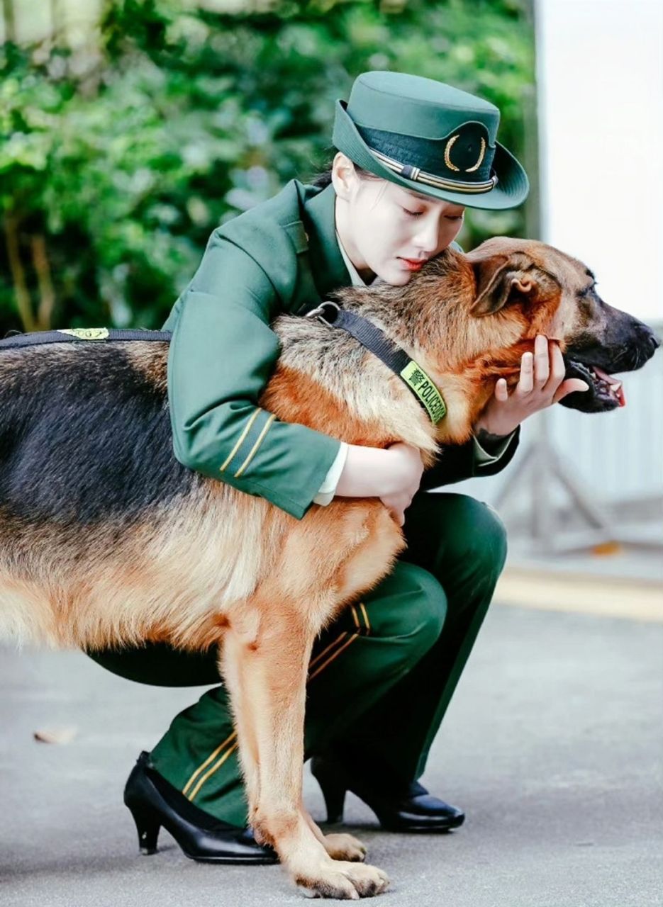 赵一诺奇兵神犬图片