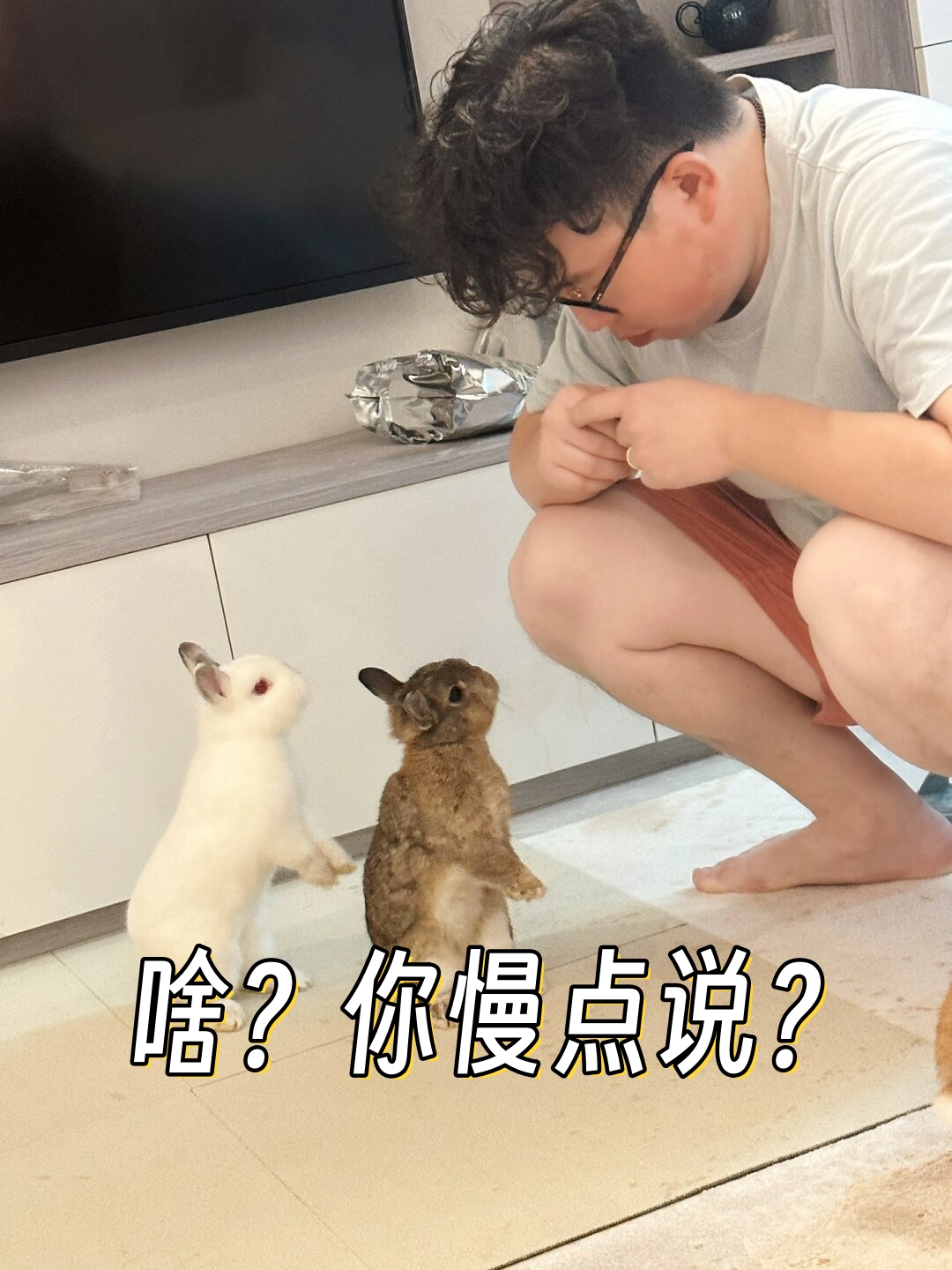 " 看着它那萌萌的小表情,我真是哭笑不得