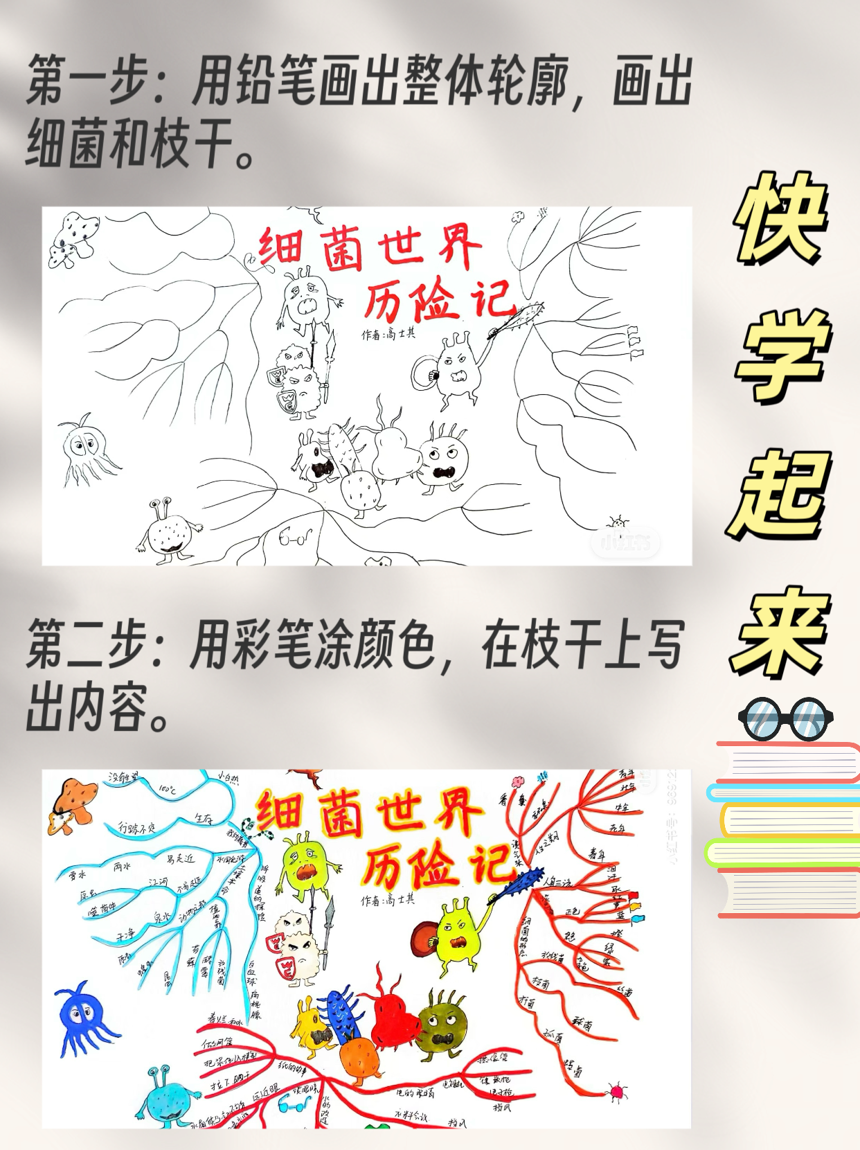 哈喽大家好,今天给大家分享细菌世界历险记思维导图的画法,欢迎大家