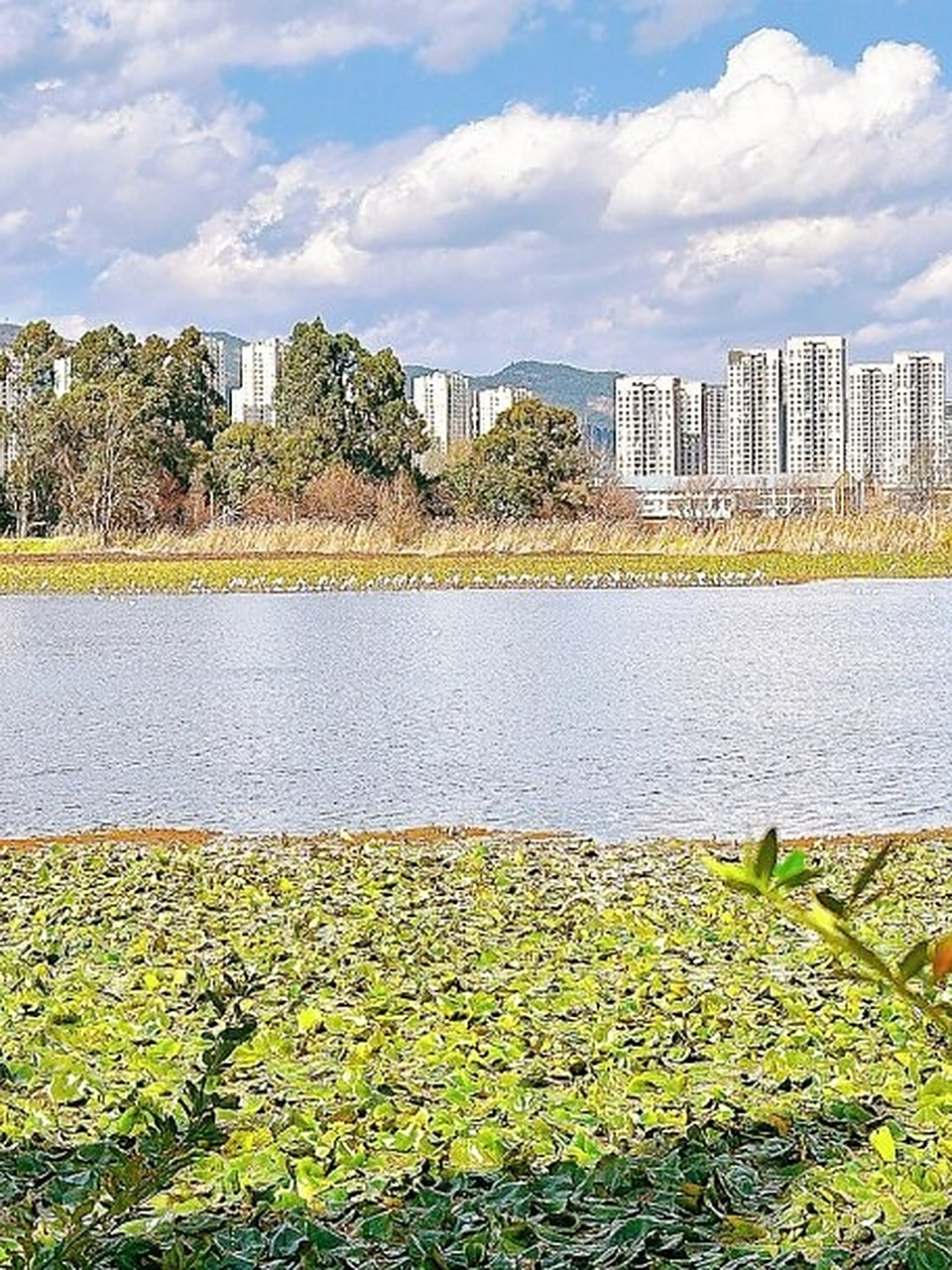 昆明城区醉美徒步路线,滇池后海—天空之镜  哎呀,我被昆明的天空之镜