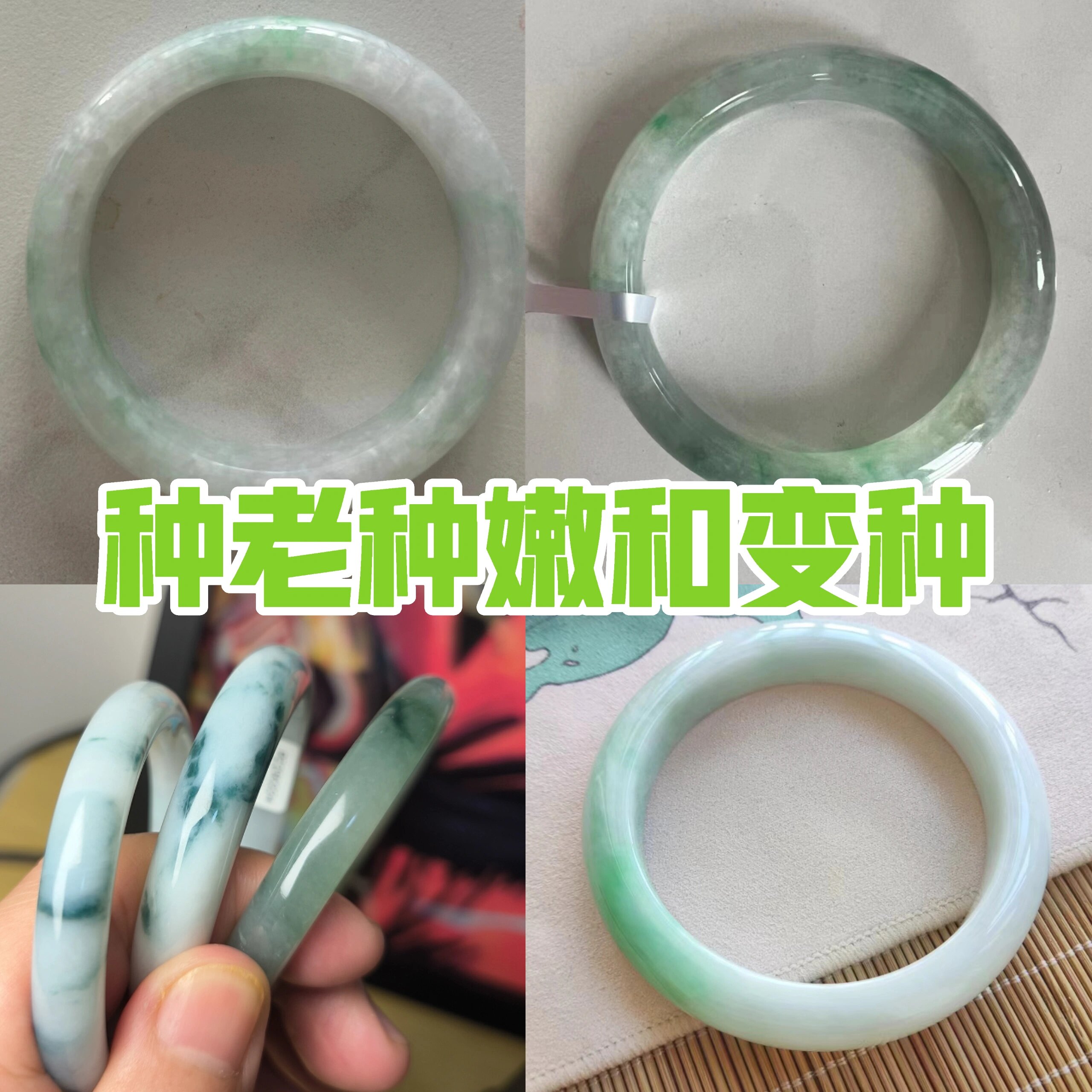 详谈翡翠的种老种嫩和变种