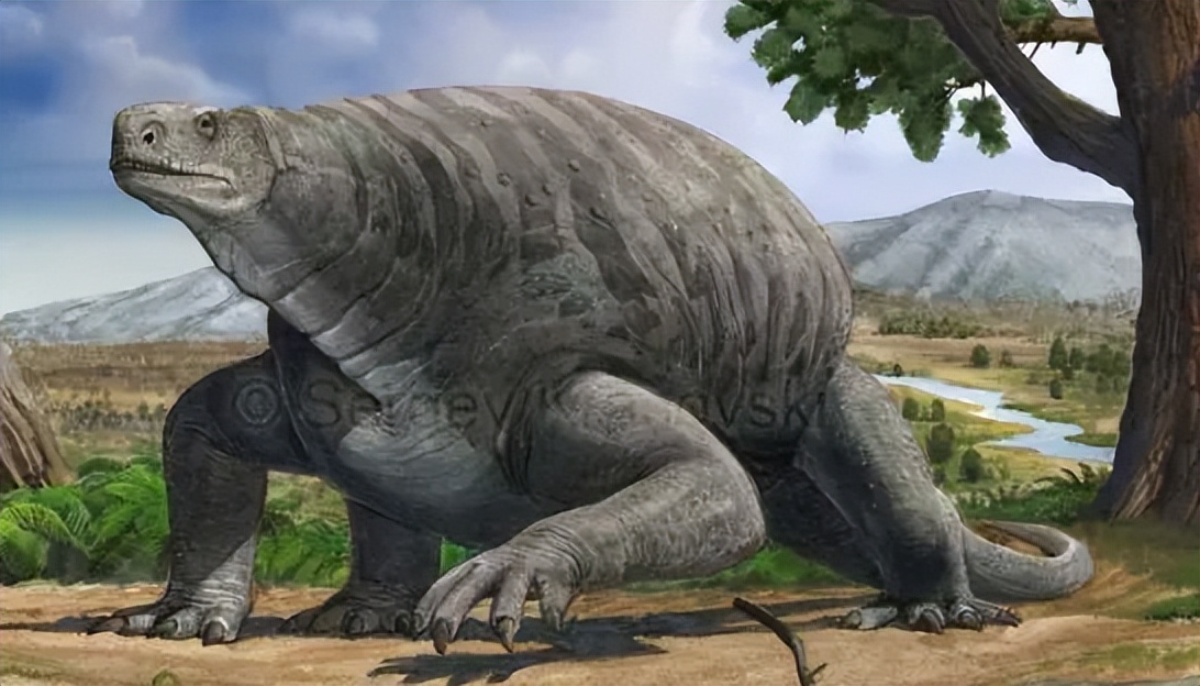 人类祖先被当点心吃了5亿年凭啥攻击性的器官逆天改命