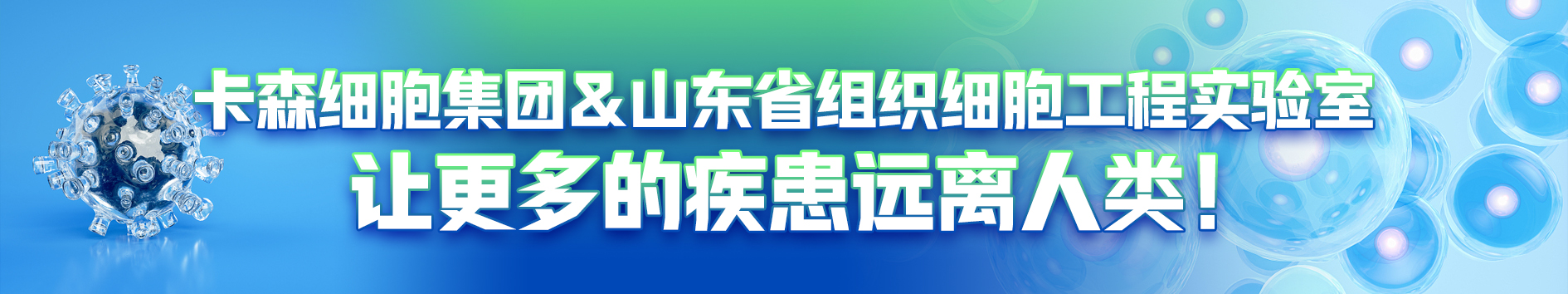 身体年龄实际年龄免疫细胞影响衰老的进程