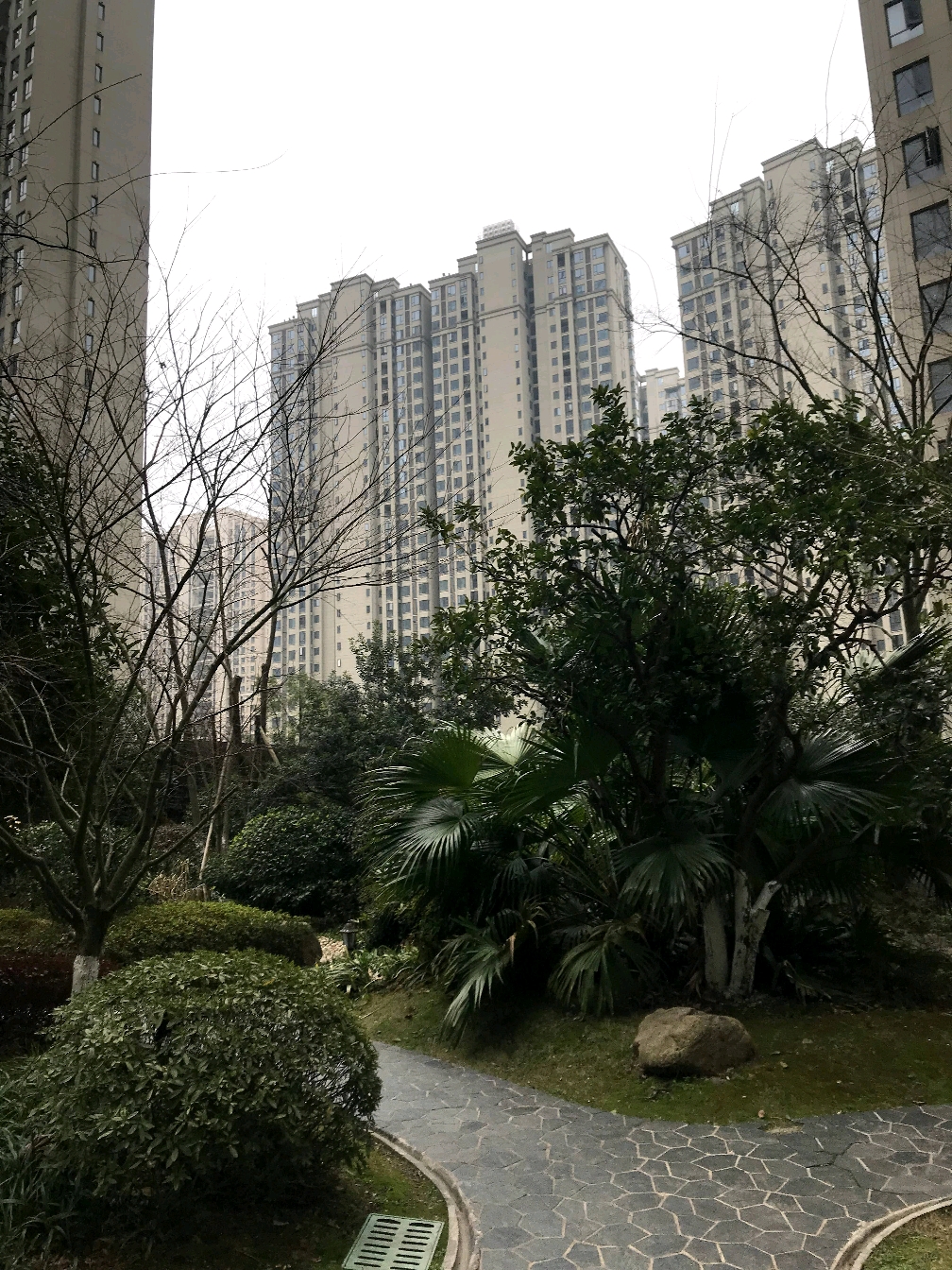 金茂湾一期的房子126.37料装三房