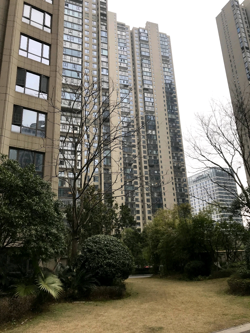 金茂湾一期的房子126.37料装三房