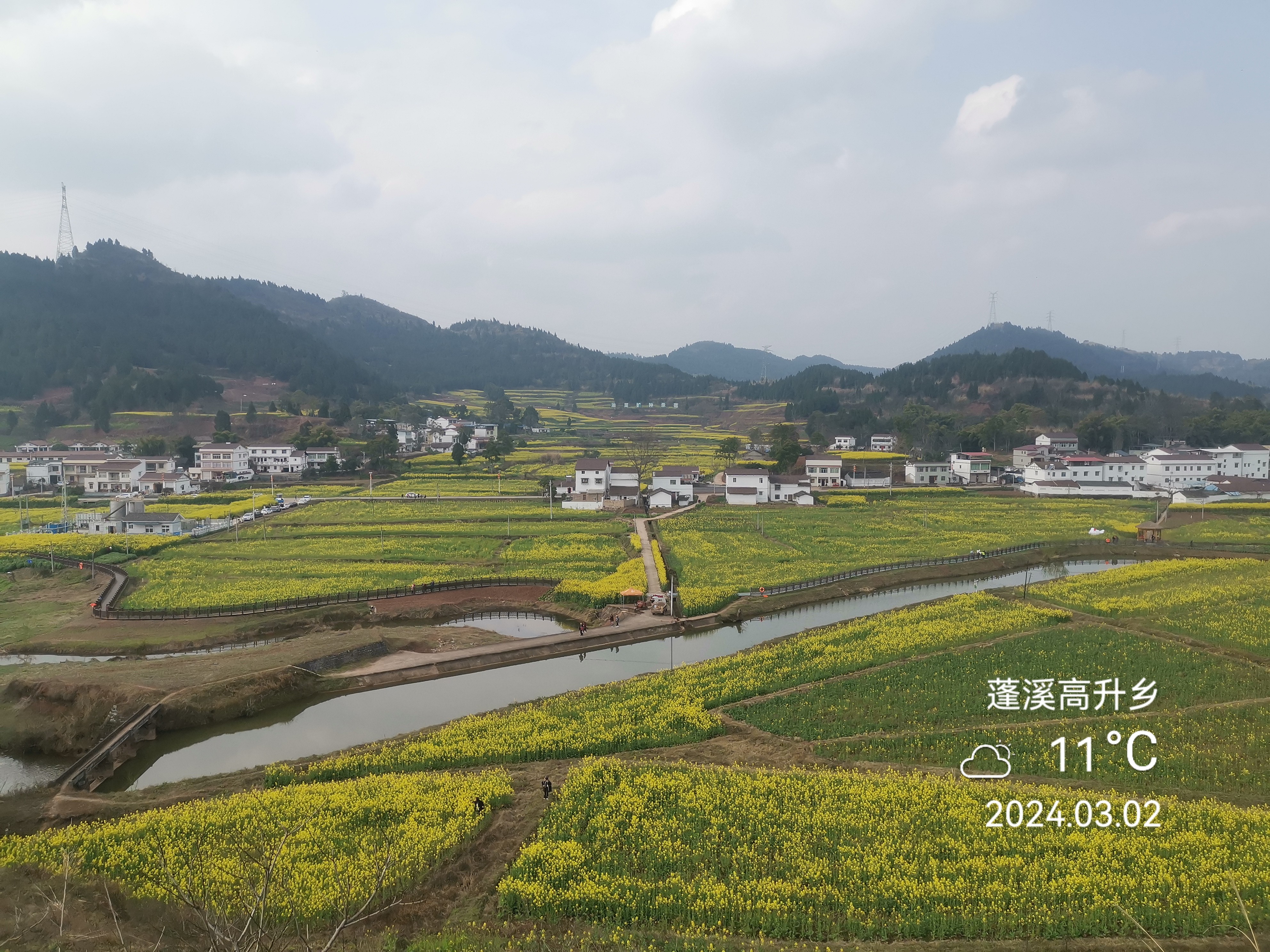 油菜花开:打卡四川蓬溪高升乡万亩油菜基地
