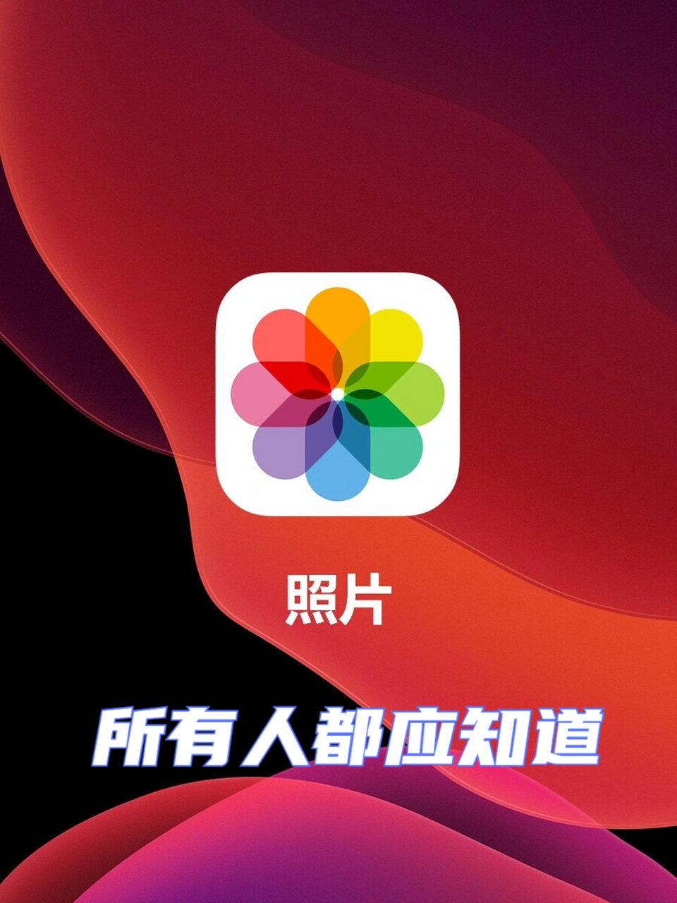 苹果相册这些功能太绝了,要让所有人都知道 苹果手机的照片app,不要