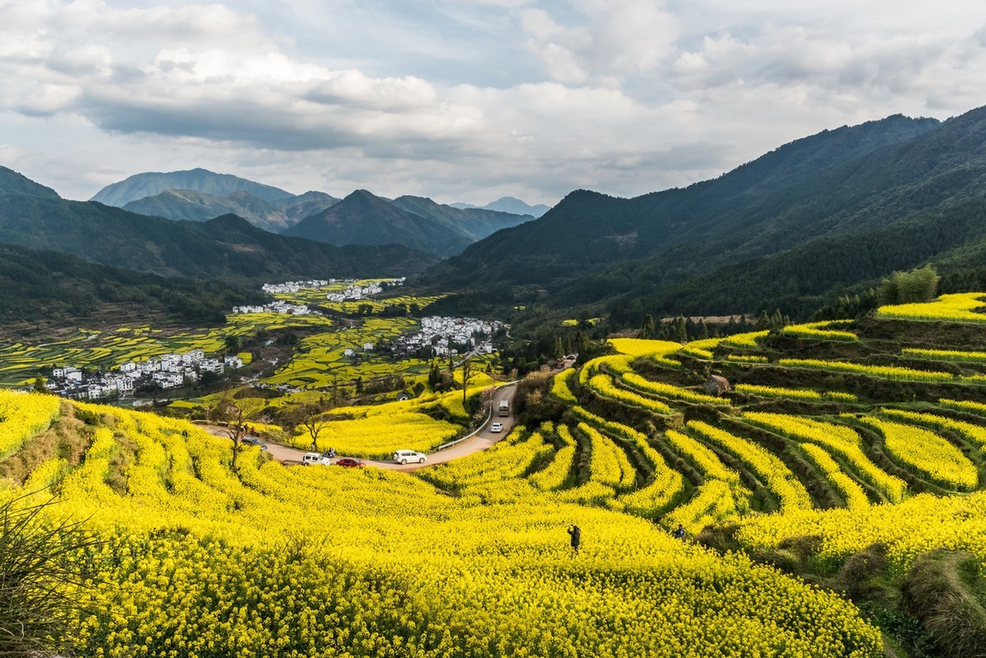 江西婺源属丘陵地貌,高低起伏层峦叠嶂,每年三月,错落有致的油菜花