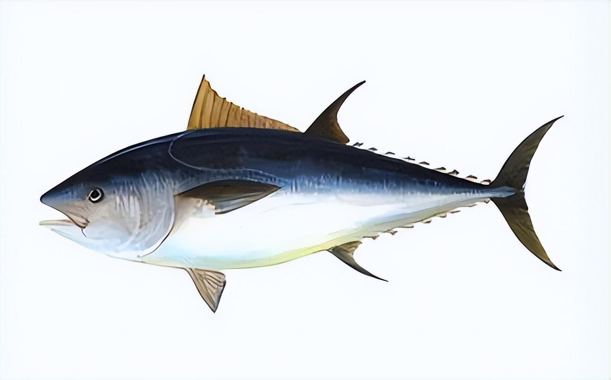 中老年人代谢下降 变胖变老!