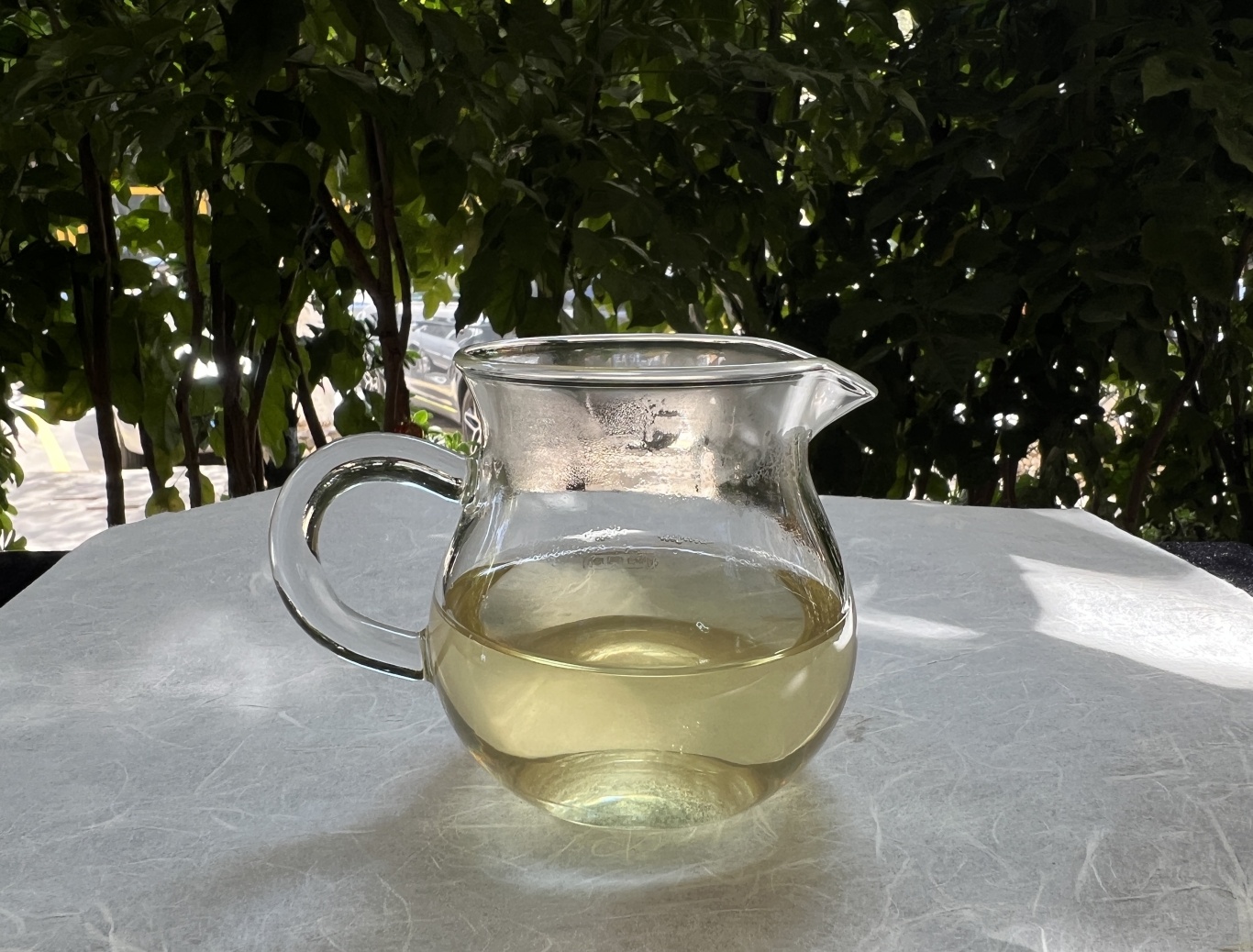 这一泡的回甘变得更加强烈,喉韵开始出现,舌下生津较好.