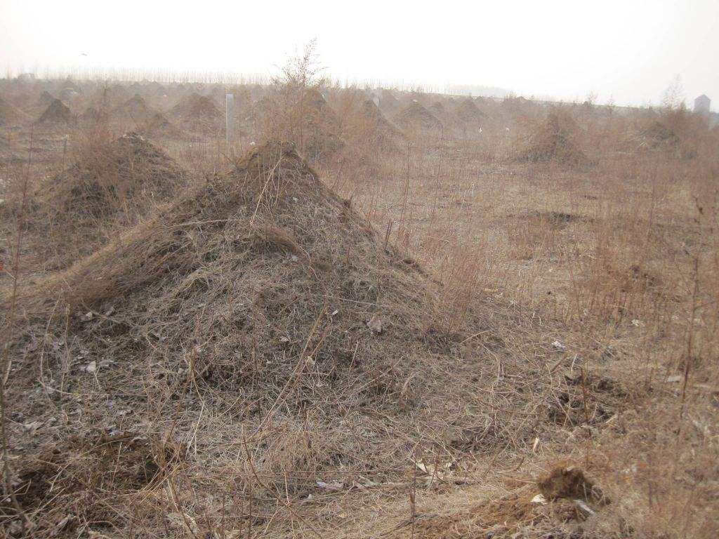 1989年放牛娃在坟山捡到大量现金意外牵出血案29年后凶手归案