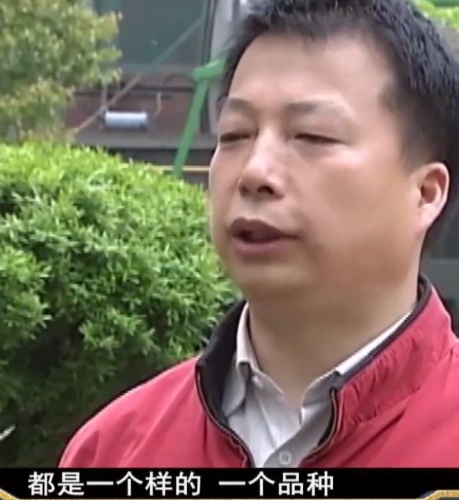 2009年湖南20只相思鸟集体自杀莫非鸟殉情的传闻是真的